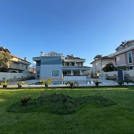 فيلة Blue فتحية